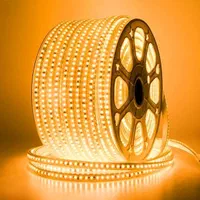 ریسه شلنگی وایرلس ، هفت رنگ (RGB) و نئون اقساط|لامپ و چراغ|کرمان, |دیوار