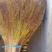 جارو وفرش|لوازم نظافت|ایوان, |دیوار