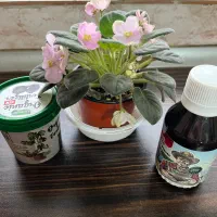 کود ارگانیک|گل و گیاه طبیعی|رشت, استقامت ۱|دیوار