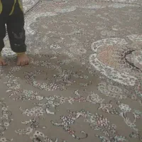 فرش12متری