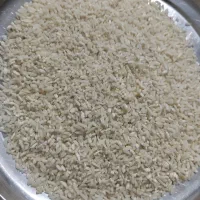 برنج سرلاشه هاشمی