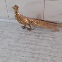 طاووس برنز