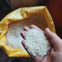 برنج نیم دانه