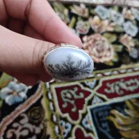 انگشترشجر کاردست