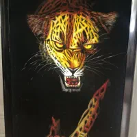 قاب و عکس مخملی