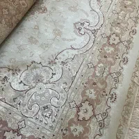 فرس پاتریس