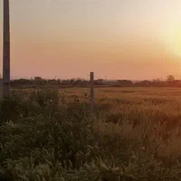 زمین کلاسنگیان۲۰۰۰متری معاوزه باماشین|فروش زمین و ملک کلنگی|گرگان, |دیوار