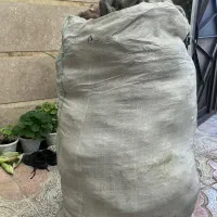 پشم گوسفند