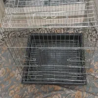 قفس علوس هلندی  ۱۰۳۳