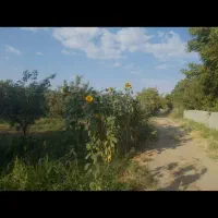 فروش باغ سیب مراغه|فروش زمین و ملک کلنگی|نظر کهریزی, |دیوار