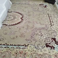 فرش ۱۲ متری ماشینی|فرش|شاهرود, |دیوار