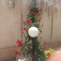 ویلایی دربستی سه واحدی در احمدآباد.|اجارهٔ خانه و ویلا|مشهد, بهشت|دیوار