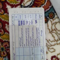 پیدا شده گواهینامه بنام دیباه ور