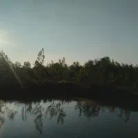زمین-مسکونی-با-استخر