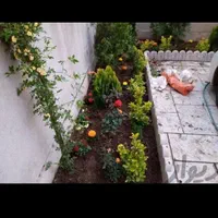 خدمات باغبانی تیلرزنی هرس کاری گل کاری و سمپاشی|خدمات باغبانی و درختکاری|مشهد, وکیل‌آباد|دیوار
