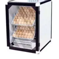 دست گاه جوجه کشی اسکندری کاملا سالم