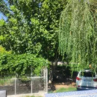 باغ-بکر-با-آب-فراوان-120متر-بنا-بیضا