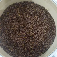 فروش انواع قهوه درجه یک|عمدهفروشی|نهاوند, |دیوار