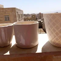 تعداد 8 گلدان
