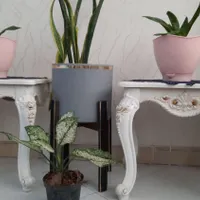 جلومبلی عسلی سلطنتی