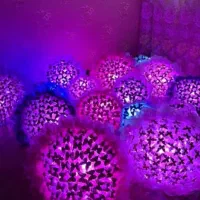 دسته گل پروانه و بوکت پروانه و چراغدار گل ولنتاین