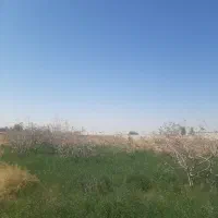 باغ کشاورزی|اجارهٔ دفتر صنعتی، کشاورزی، تجاری|کرمان, |دیوار