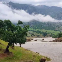 زمین-باغی