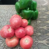 هلو شیرین کیلو ۵۰تومان  فلفل دلمه ۴۵گوجه ۱۵|خوردنی و آشامیدنی|شیراز, دارالرحمه|دیوار