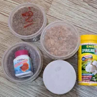 آکواریوم|ماهی|تهران, شهرک امام خمینی|دیوار