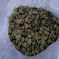 بادام پوست کاغذی|خوردنی و آشامیدنی|اصفهان, تیران|دیوار