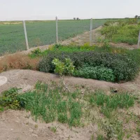 باغ در محدوده خسروشهر|فروش خانه و ویلا|خسروشاه, |دیوار