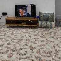 سه عدد فرش نقش برجسته 1200 شونه دونه ای 28 تومن