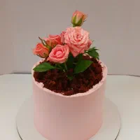 کیک خانگی|خدمات پذیرایی، مراسم|قم, شهرک مهدیه (مدرس)|دیوار