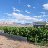 زمین فروش استخر باغ مجن