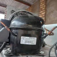 یخچال ویترینی