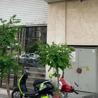 تاپ لوکیشن // ۱۵۰ تجاری //پرترددترین براصلی منطقه|اجارهٔ دفتر صنعتی، کشاورزی، تجاری|تهران, دریا|دیوار