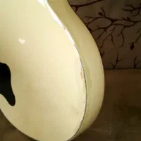 Stagg L400WH|گیتار، بیس، امپلیفایر|اهواز, آریاشهر|دیوار