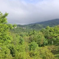 کلنگی 11000متری/ایده‌آل تفکیک،ساخت ویلا،بوم‌گردی