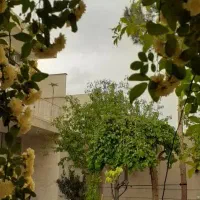 فروش منزل مسکونی ویلایی|فروش خانه و ویلا|اصفهان, قلعه طبره|دیوار