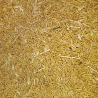 گندم دیم|خوردنی و آشامیدنی|شیرینسو, |دیوار