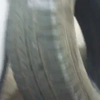 لاستیک ماشین|قطعات یدکی و لوازم جانبی|مشهد, رده|دیوار