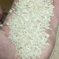 برنج ونیم دانه کامفیروزی و عنبربو درجهیک میخای بیا|خوردنی و آشامیدنی|شیراز, تندگویان|دیوار