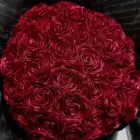 گل روبانی 40شاخه