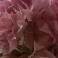 تدریس خصوصی ابتدایی