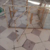 گنجه .قفس|لوازم جانبی حیوانات|شیراز, لاله|دیوار