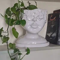 گلدان همراه با گل