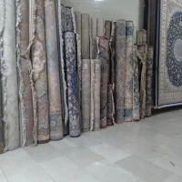 فر وش وخریدار فرش ۷۰۰و.... شونه جفتی و تکی