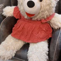 عروسک شاسخین و سگ خواب سبد چوبی میوه خوری