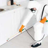 سم پاشی ساس و سوسک و موش