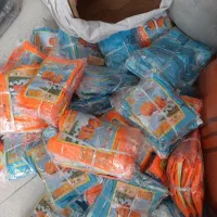 دماغگیر بینی گیر شنا|حراج|تهران, سیروس|دیوار